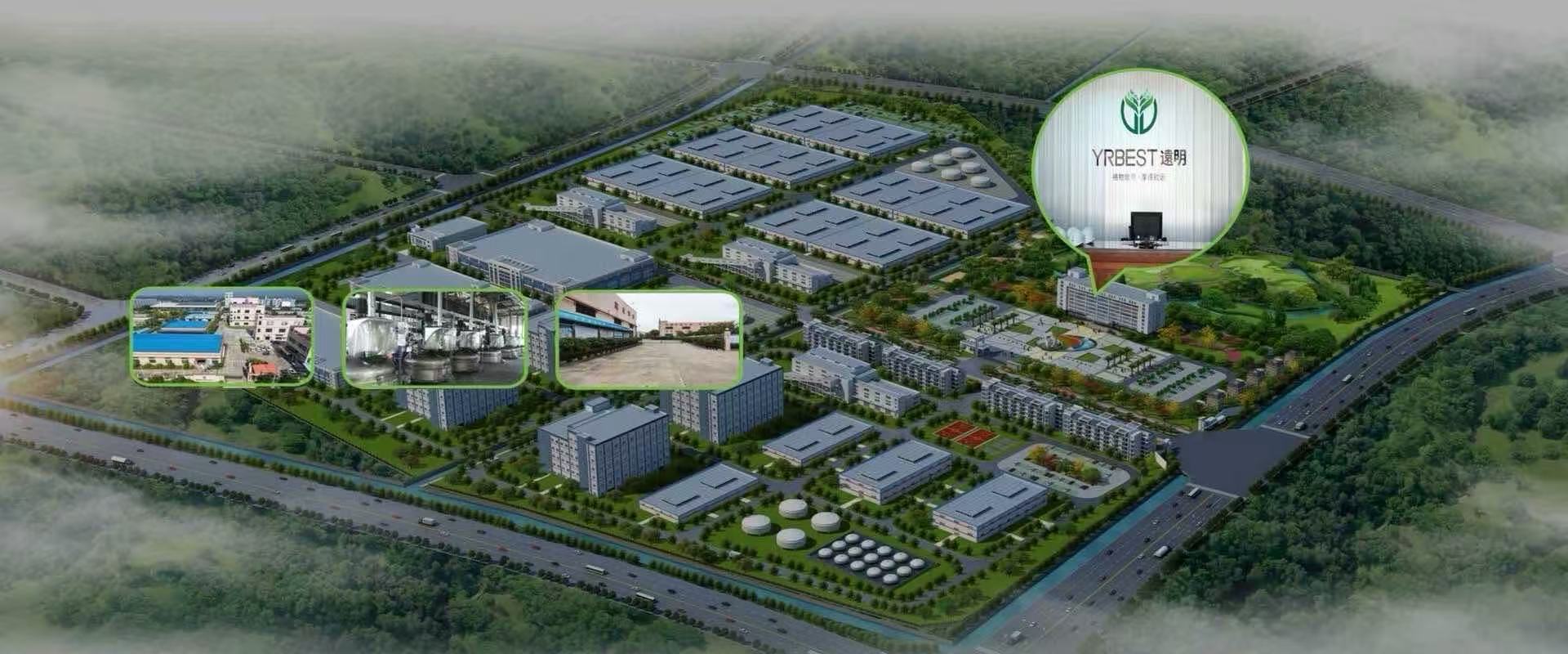 Adhesive For Shoe Making Manufacturer