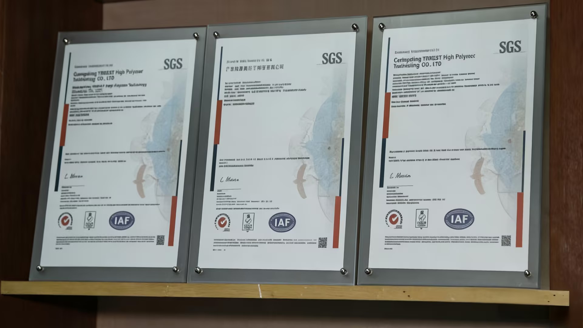 我们的荣誉20260209